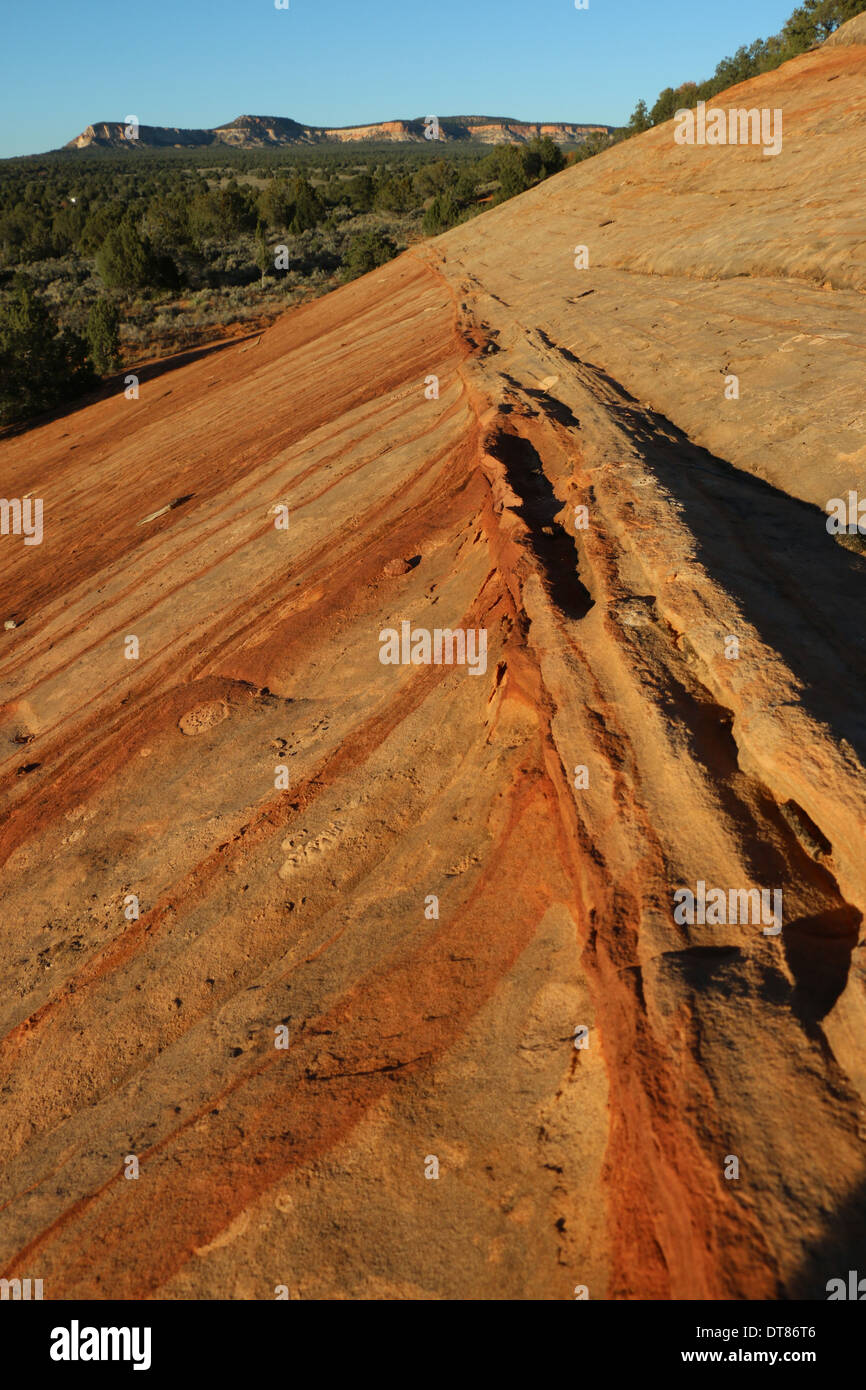 Erodieren Sandstein Slickrock Utah Streifen Stockfoto