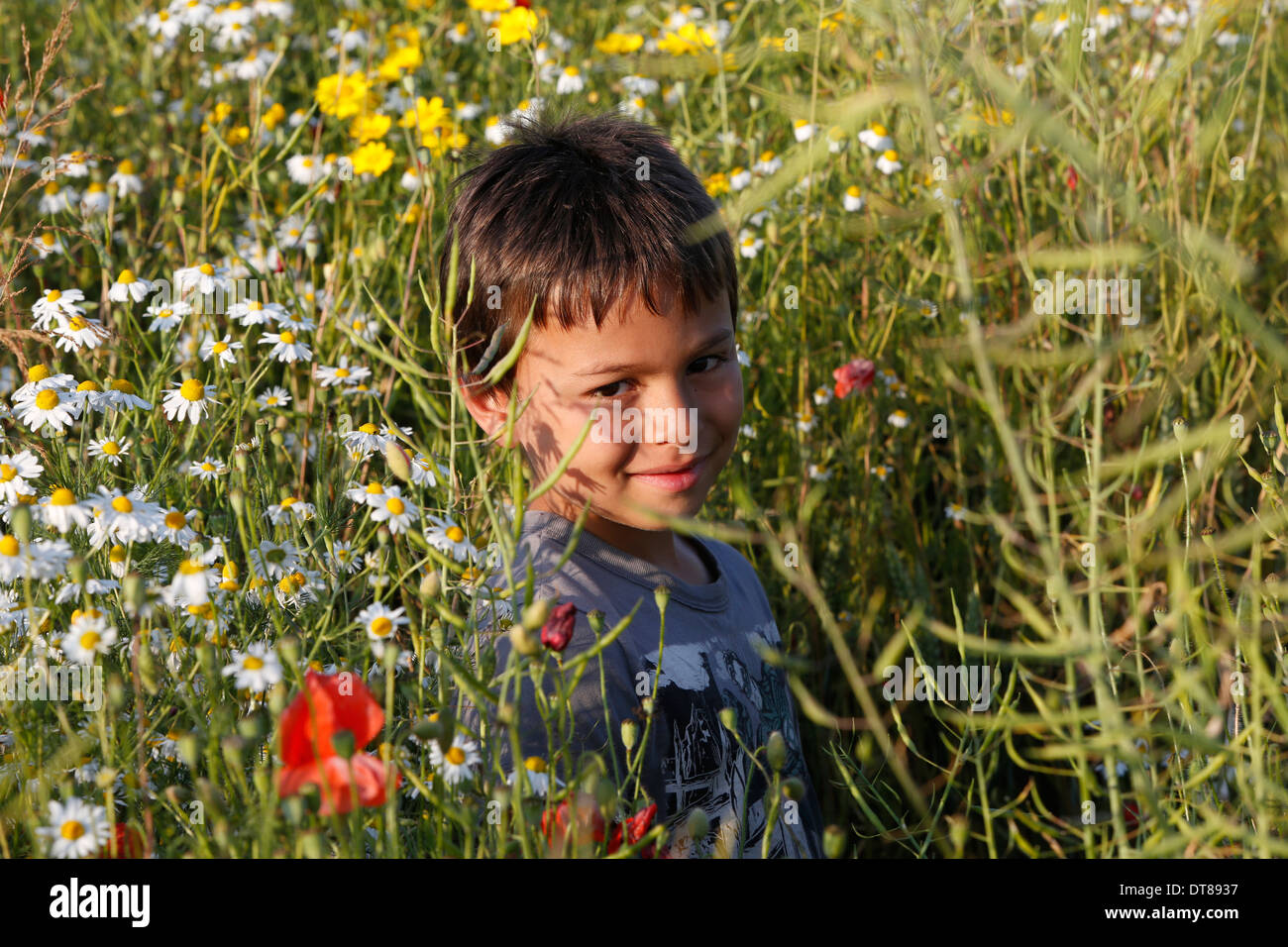7-Year-Old Boy zwischen wilden Blumen Stockfoto