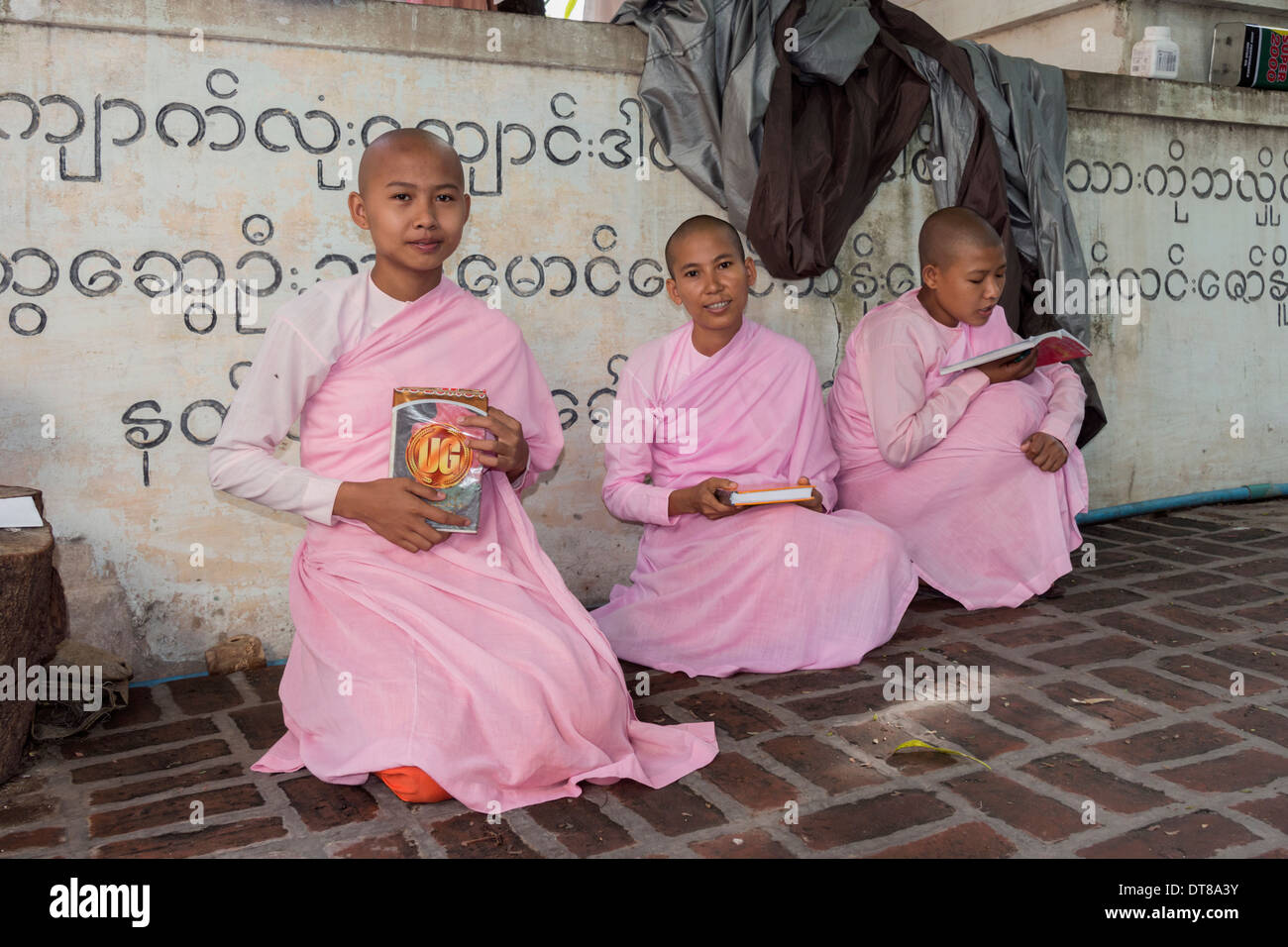 Drei junge Nonnen studieren in einem Innenhof, Dha Kya Di Tar Nonnenkloster, Mandalay, Maynmar Stockfoto