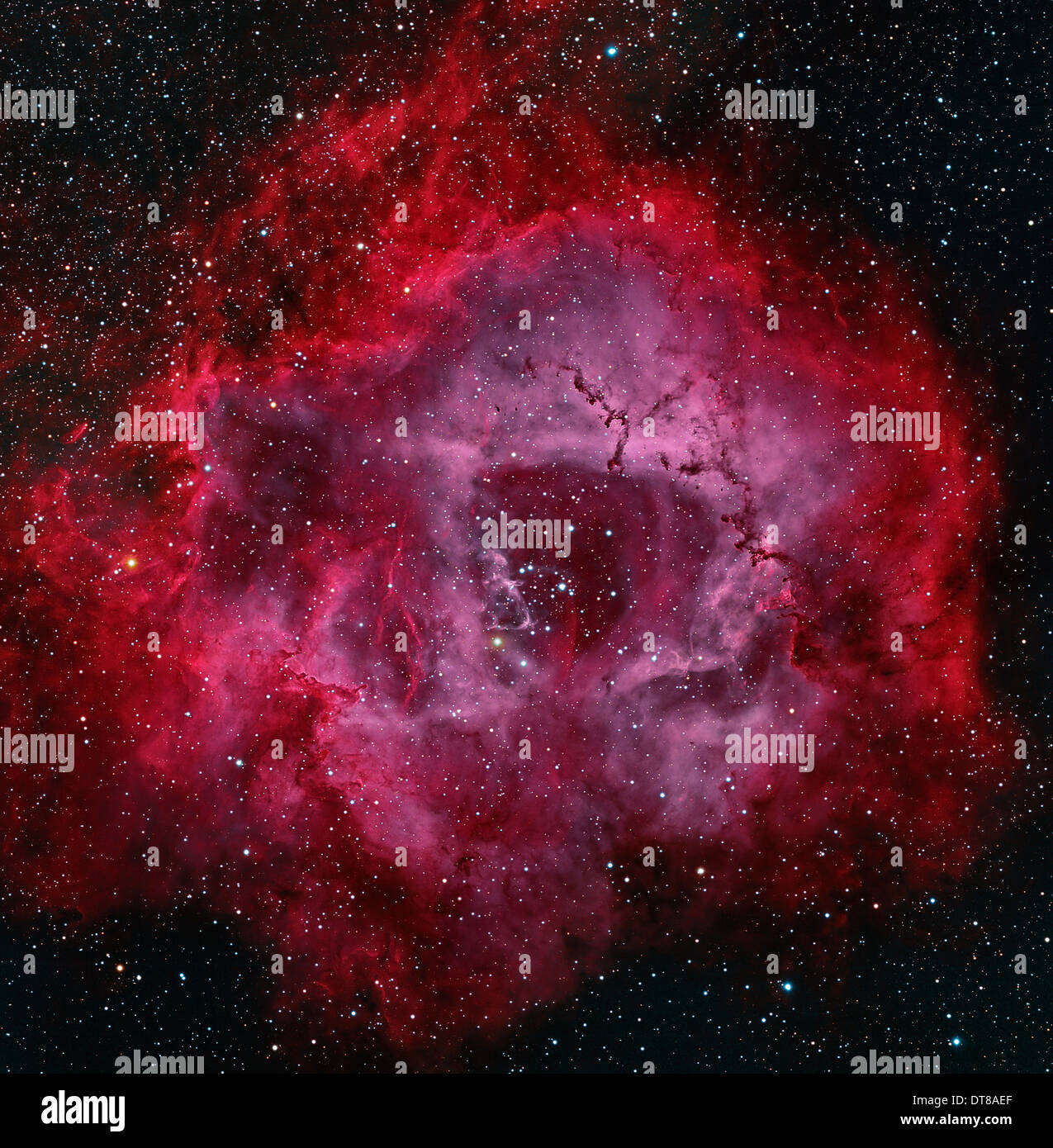 Der Rosettennebel Stockfoto