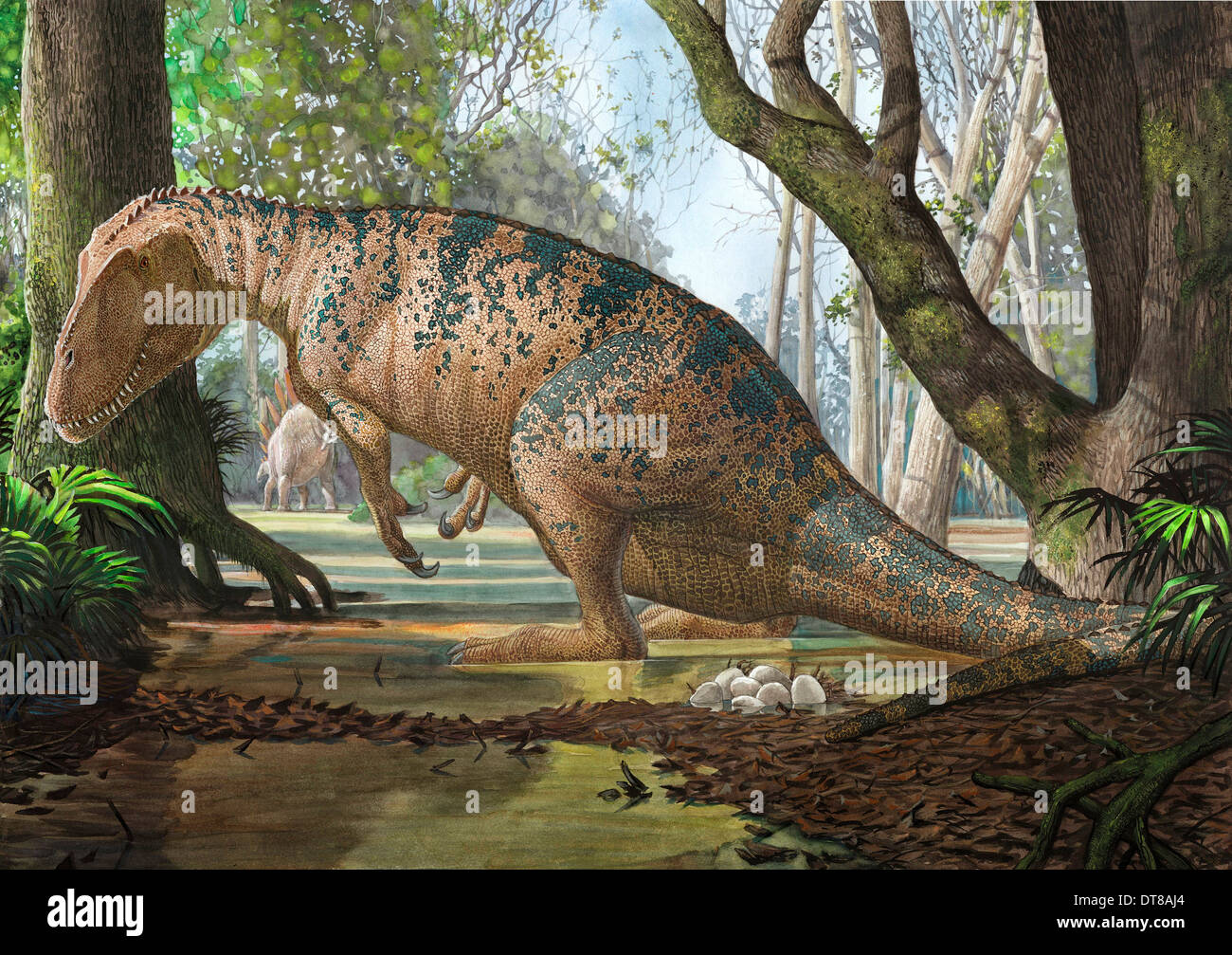 Eine Edmarka Rex Dinosaurier findet heraus, dass sein Nest wegen Überflutung des Waldes Jurassic gestorben ist. Stockfoto