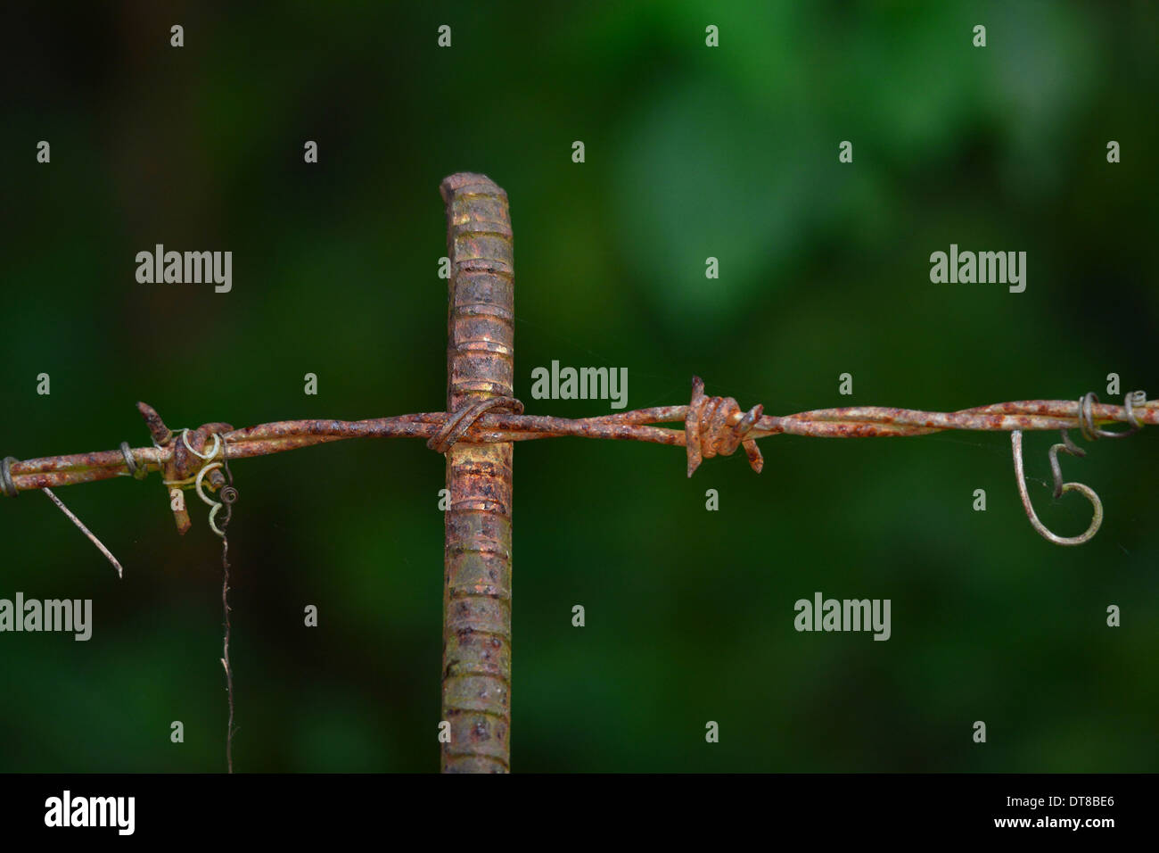 Makro von einem rostigen Barbwire Zaun mit einem dunklen Hintergrund Stockfoto