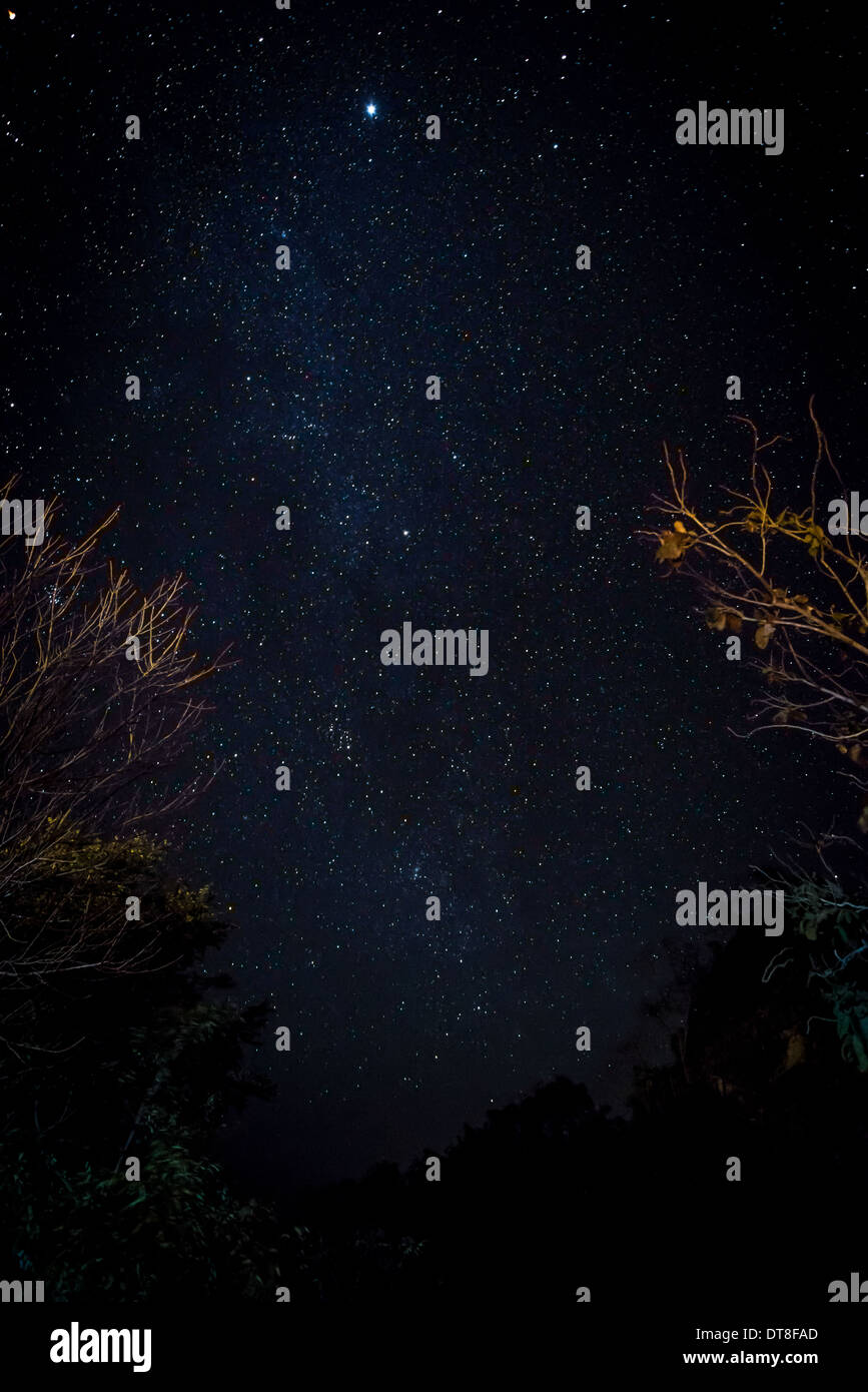 Starfield Nachthimmel mit hohen Iso milkyway Stockfoto