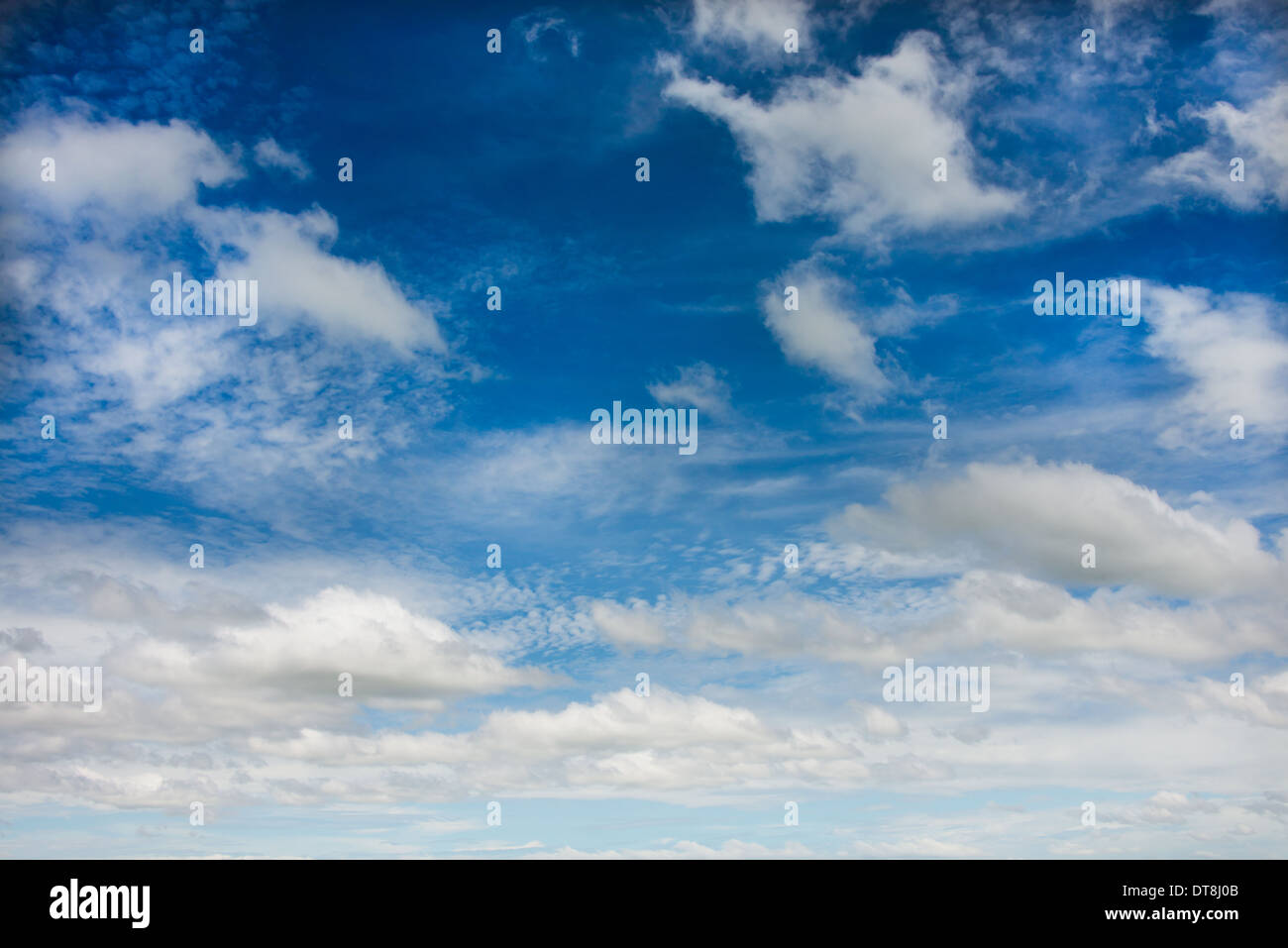 Cirruswolken vor blauem Himmel, Sommerhimmel, Schönwetter Stockfoto