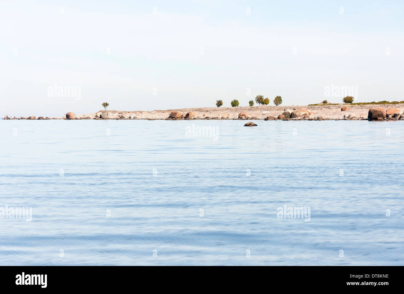 Ende einer Insel im Meer und einige einzelne Bäume, die auf ihm wachsen Stockfoto