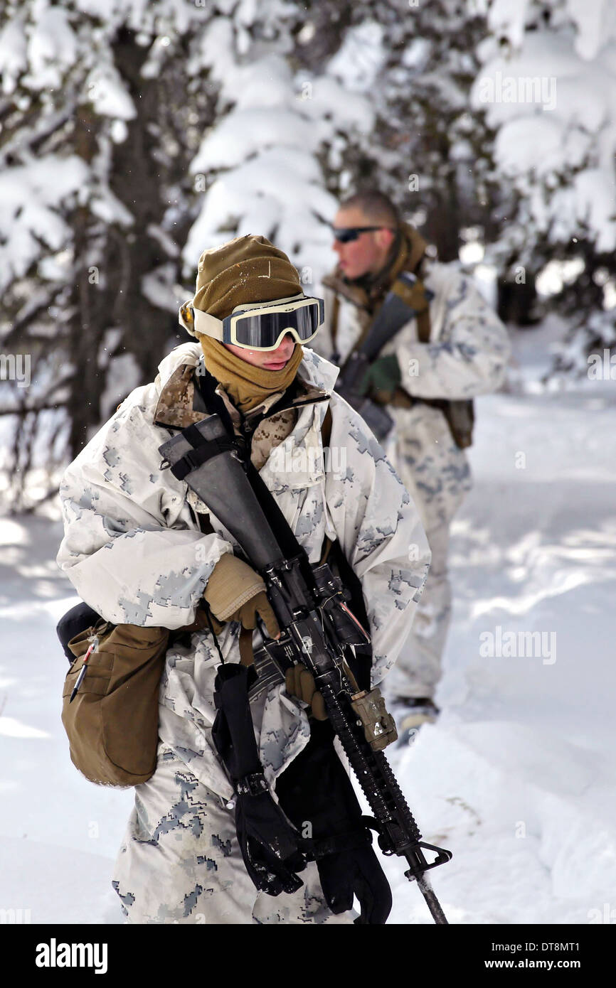 US-Marines patrouillieren während der letzten sechs-Tage-Feld Übung für Berg ausüben Wintertraining am Mountain Warfare Training Center 3. Februar 2014 in Bridgeport, CA. Stockfoto