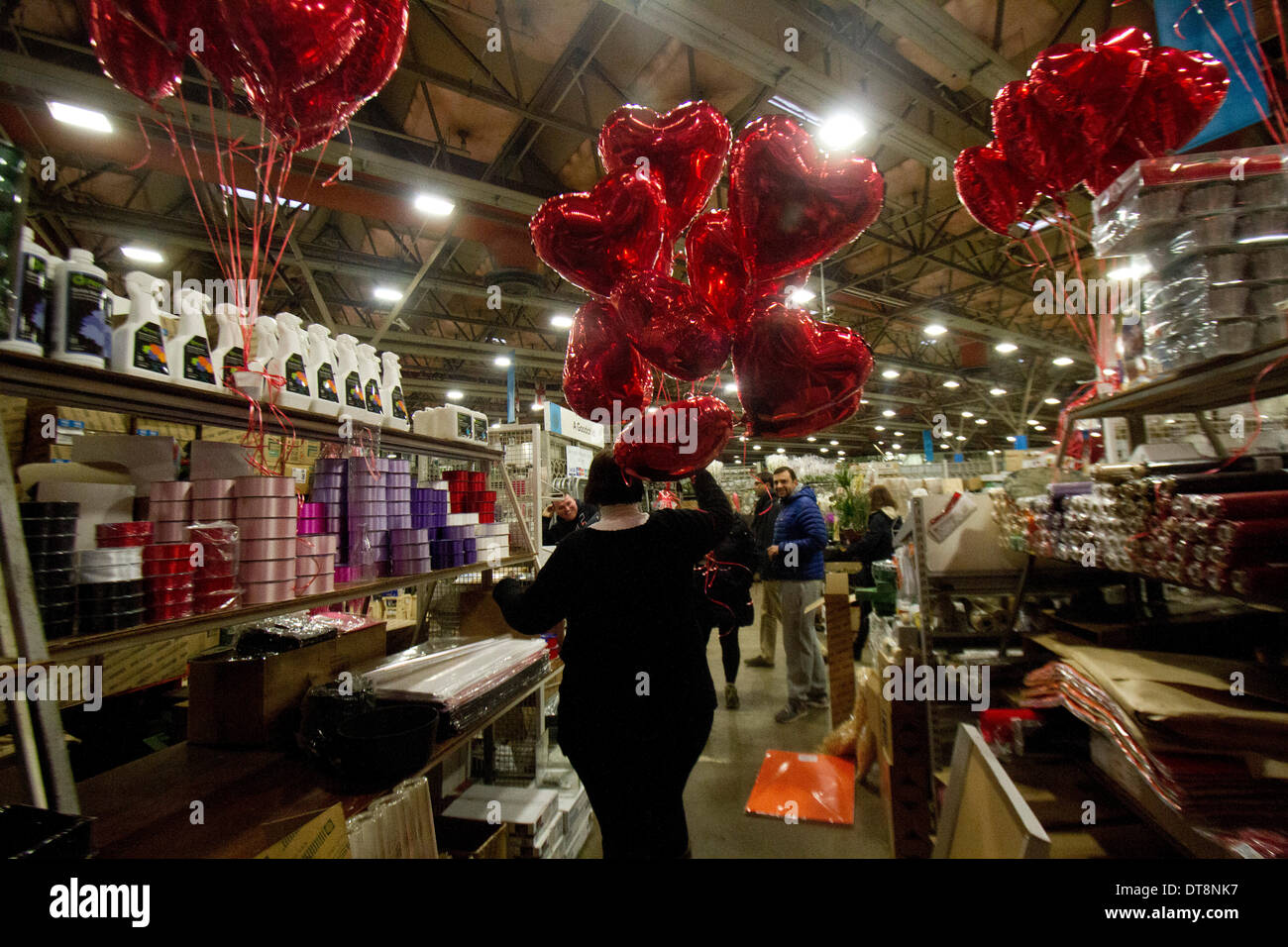 Vauxhall-London, UK. 12. Februar 2014. Ein Unternehmer trägt herzförmige Luftballons in New Covent Garden ein paar Tage laufen bis zur St. Valentines Day. Neue Covent Garden Flower Market ist Londons premier Markt Strumpf eine Vielzahl von Blumen und Pflanzen die Briten Menschen dürften verbringen mehr als 50 Millionen Pfund auf Blumen für Valentines mit 99 Prozent auf Rosen Credit: Amer Ghazzal/Alamy Live-Nachrichten Stockfoto