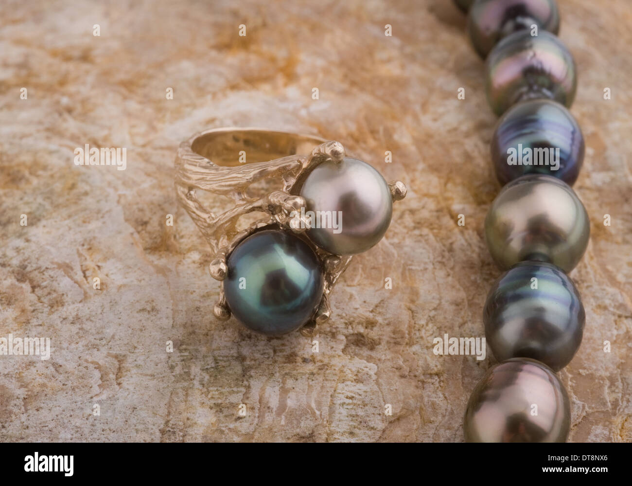 Perlenring auf Austernschale Stockfoto