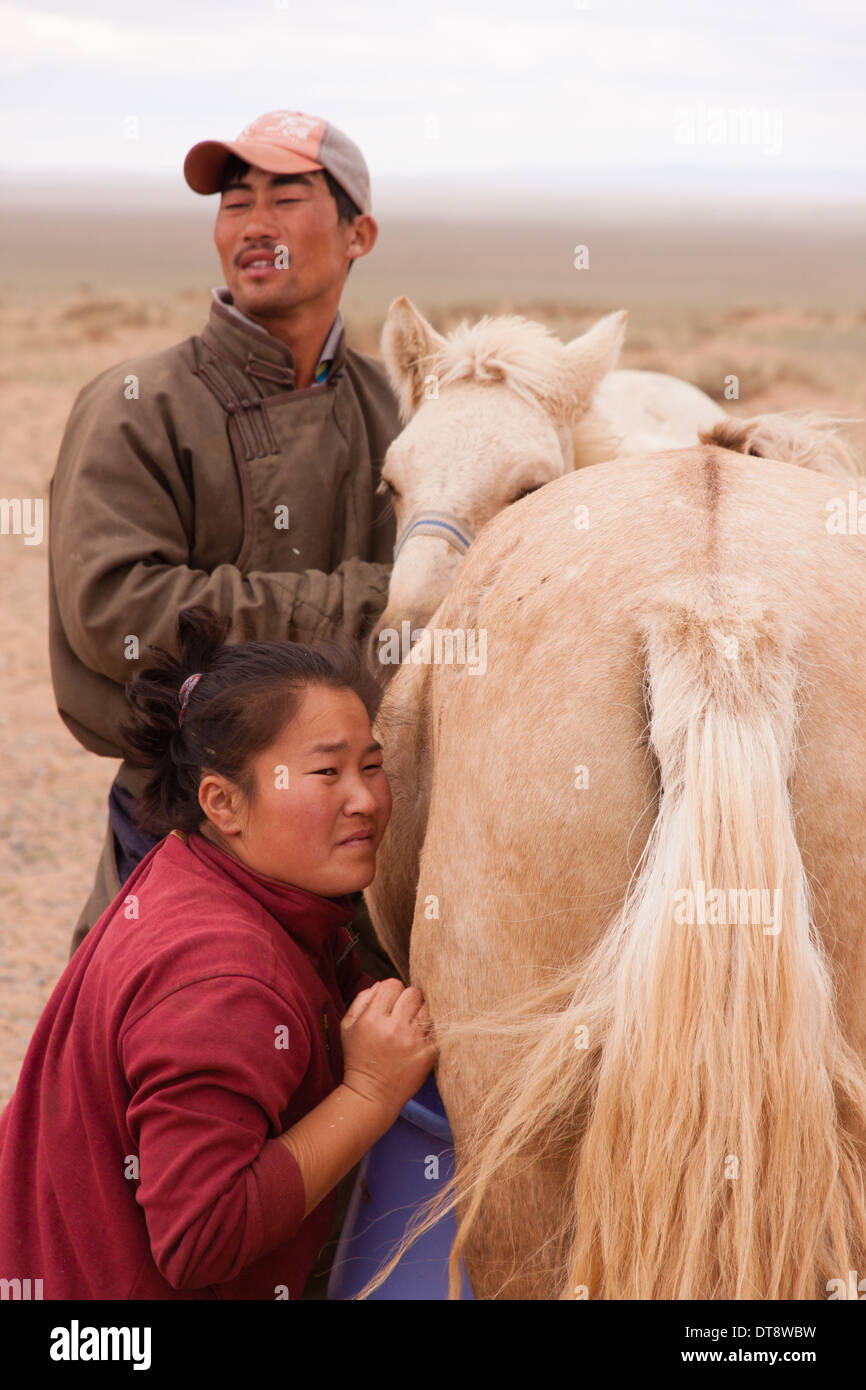 Eine mongolische Frau Melken ein Pferd Stockfoto