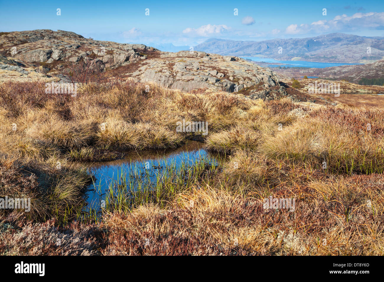 Norwegische Berglandschaft mit kleinem Teich und Trockenrasen Stockfoto