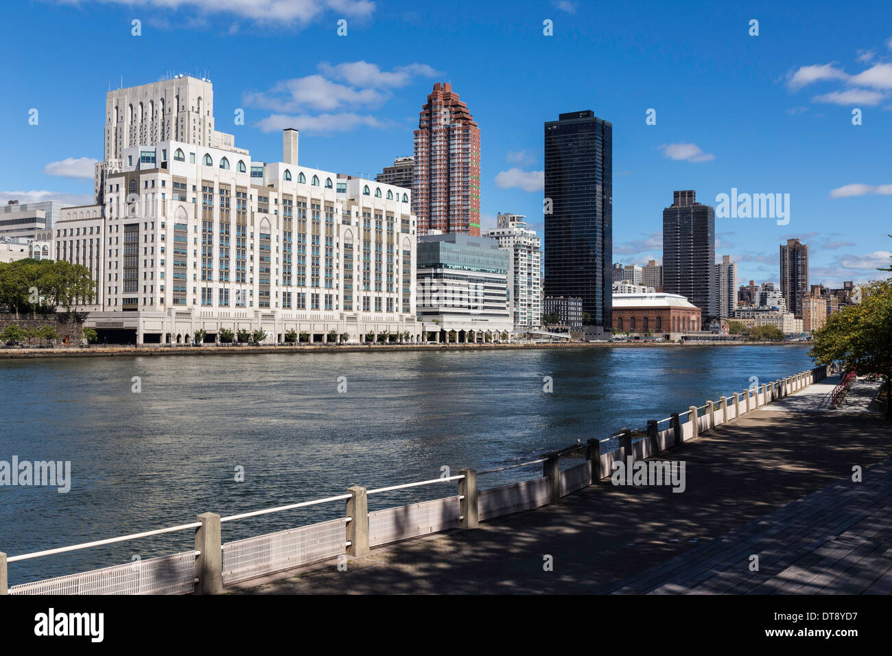 Skyline von Midtown Manhattan und dem East River von Roosevelt Island, New York City, USA Stockfoto