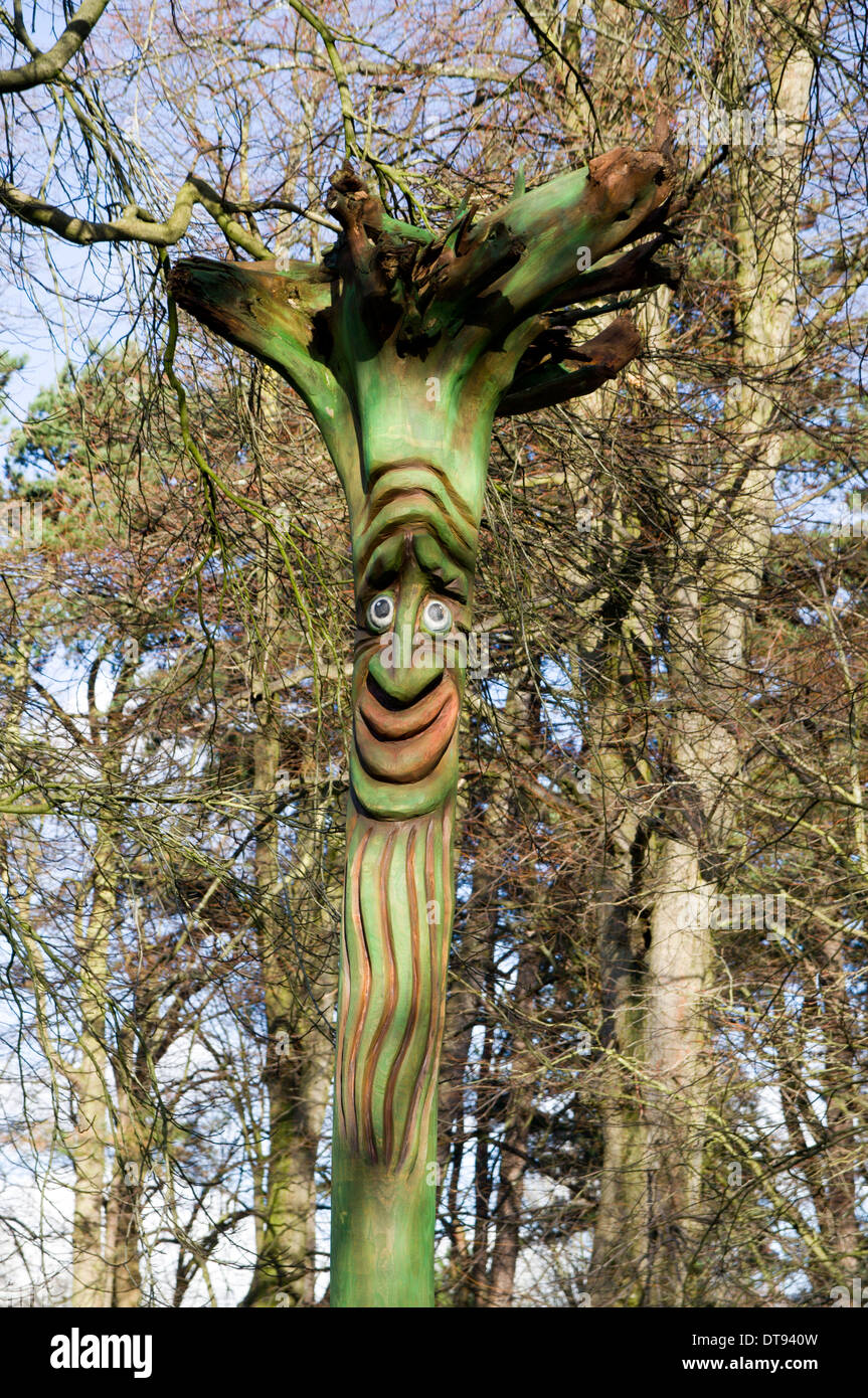 Geschnitzte hölzerne Kunst, das Arboretum, Bute Park, Cardiff, Wales. Stockfoto