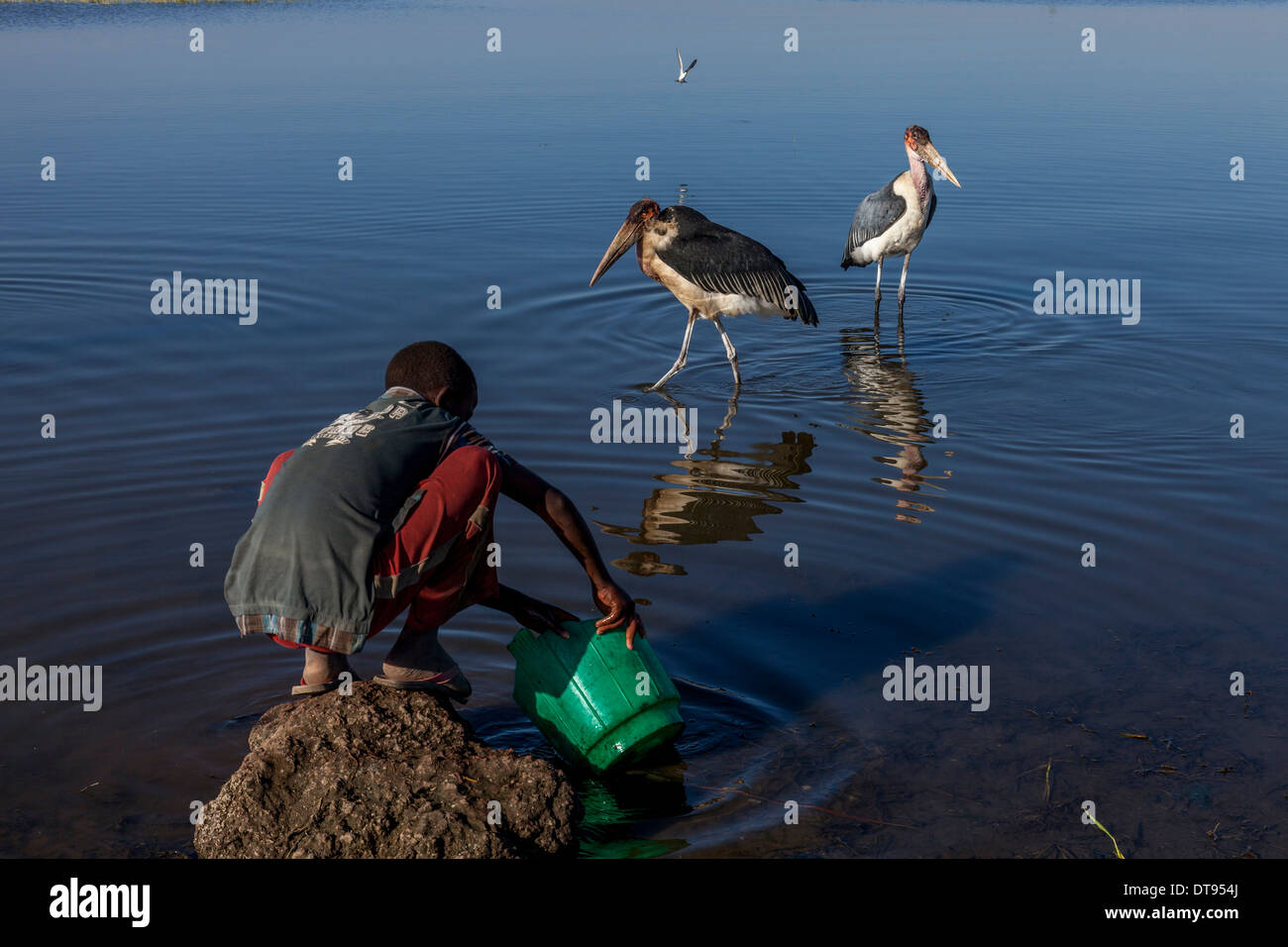 Junge füllen einen Eimer mit Wasser, die Fisch Markt, See Hawassa Hawassa, Äthiopien Stockfoto