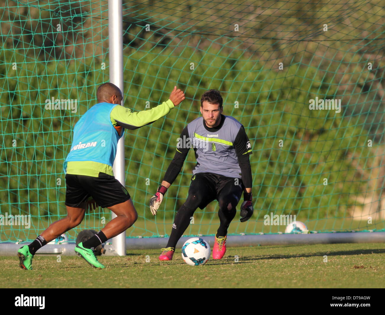 Murcia, Spanien. 12. Februar 2014. 12. Februar 2014. La Liga Seite Granada CF in der Ausbildung im La Manga Club vor ihrem Spiel mit Real Madrid am Sonntag.    Foto von Tony Henshaw Credit: Tony Henshaw/Alamy Live-Nachrichten Stockfoto