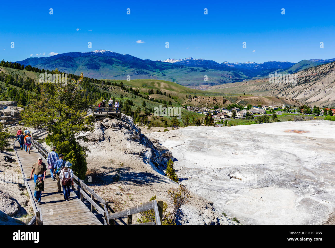 Promenade entlang der Hauptterrasse in Mammoth Hot Springs Terrassen, Yellowstone-Nationalpark, Wyoming, USA Stockfoto