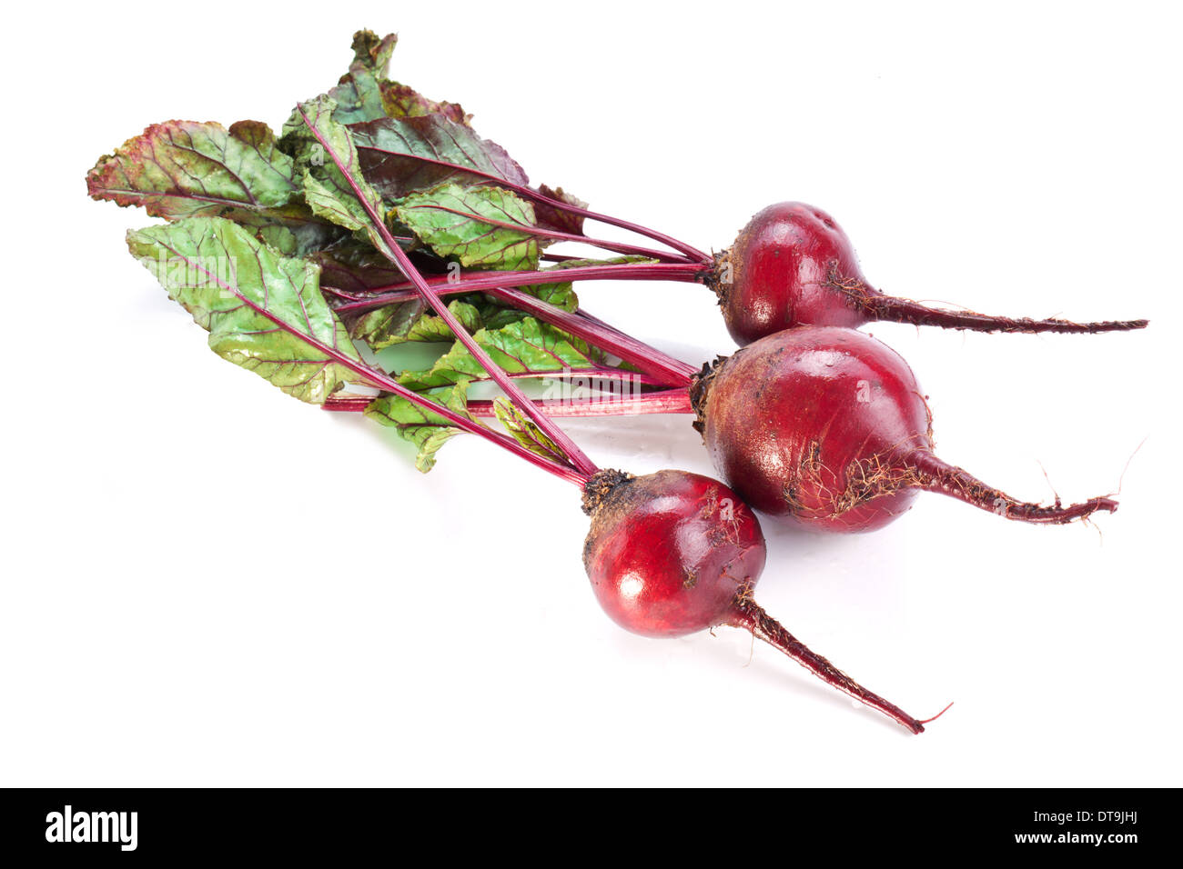 Rüben Wurzeln isoliert auf weißem Hintergrund. Stockfoto