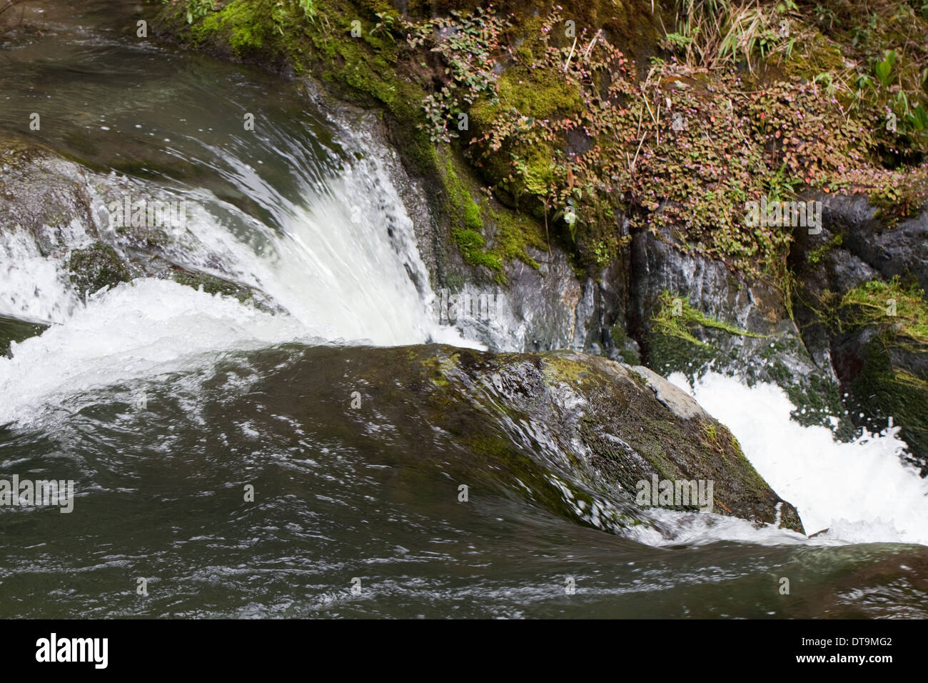 Wasserfall. Oberlauf Savegre, San treffen de Doto. Talamanea Berge, Costa Rica. Zentral-Amerika. Stockfoto