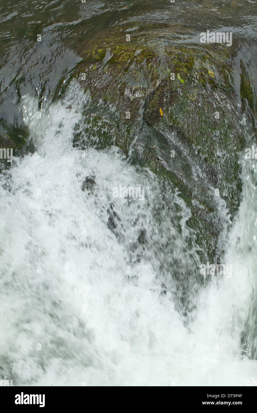 Wasserfall. Oberlauf Savegre, Talamanea Berge, Costa Rica. Zentral-Amerika. Stockfoto