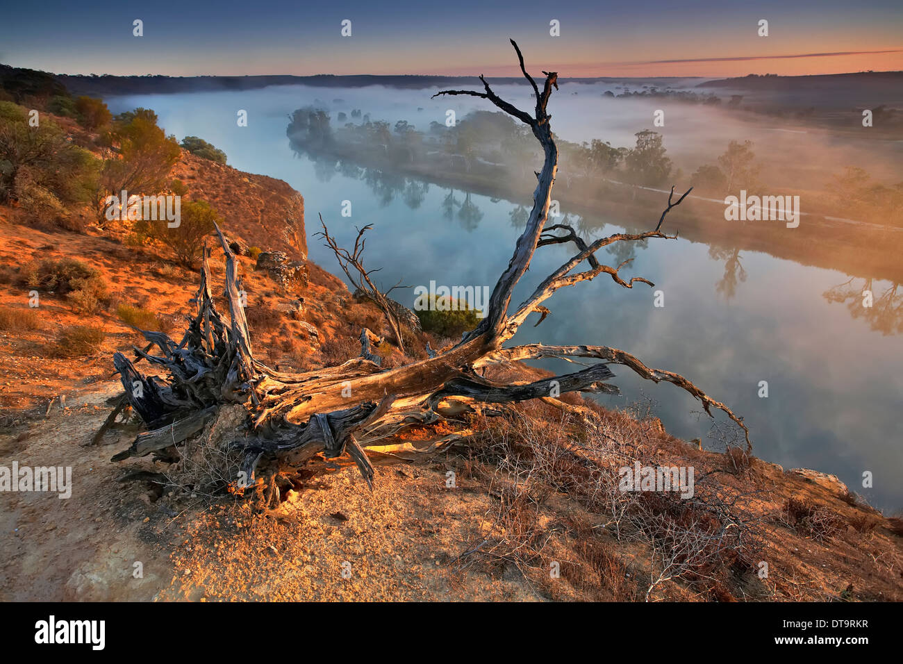 Ein nebliger Sonnenaufgang auf dem Murray River in Walker-Wohnung in der Riverland of South Australia Stockfoto