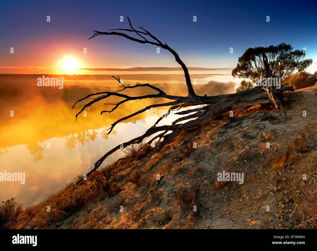 Ein nebliger Sonnenaufgang auf dem Murray River in Walker-Wohnung in der Riverland of South Australia Stockfoto