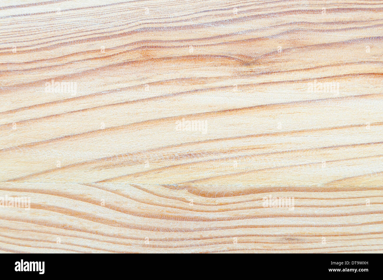 hochdetaillierte weichen hellen Holz Hintergrund Stockfoto