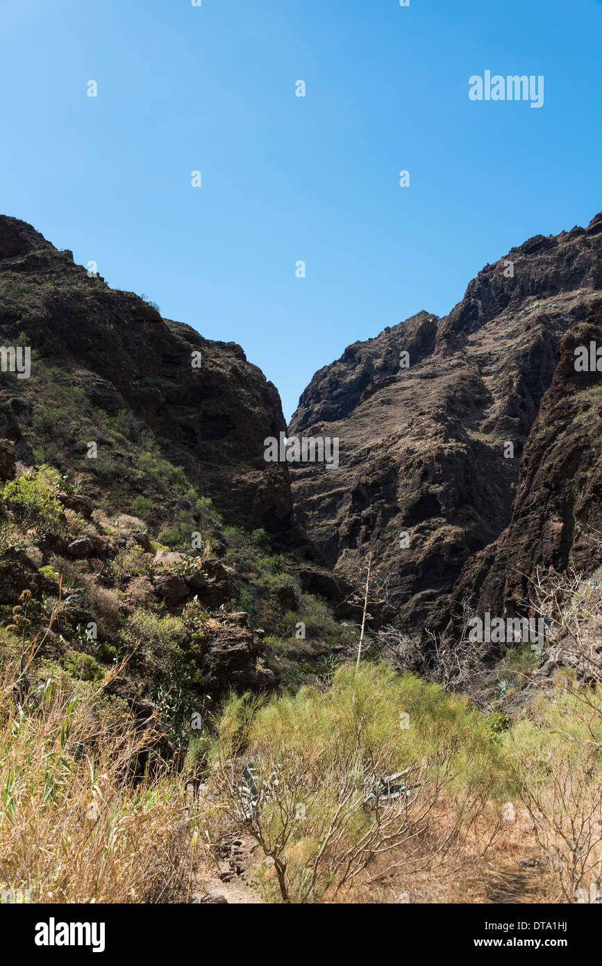 Cliff in der Masca-Schlucht, Felsformation, Vulkangestein, Teneriffa, Kanarische Inseln, Spanien Stockfoto