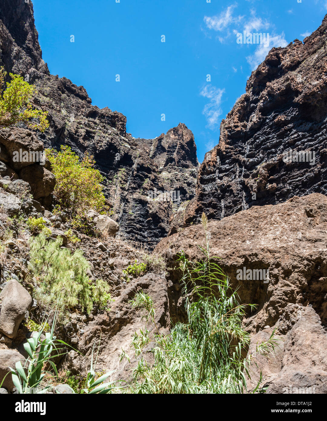 Cliff in der Masca-Schlucht, Felsformation, Vulkangestein, Teneriffa, Kanarische Inseln, Spanien Stockfoto