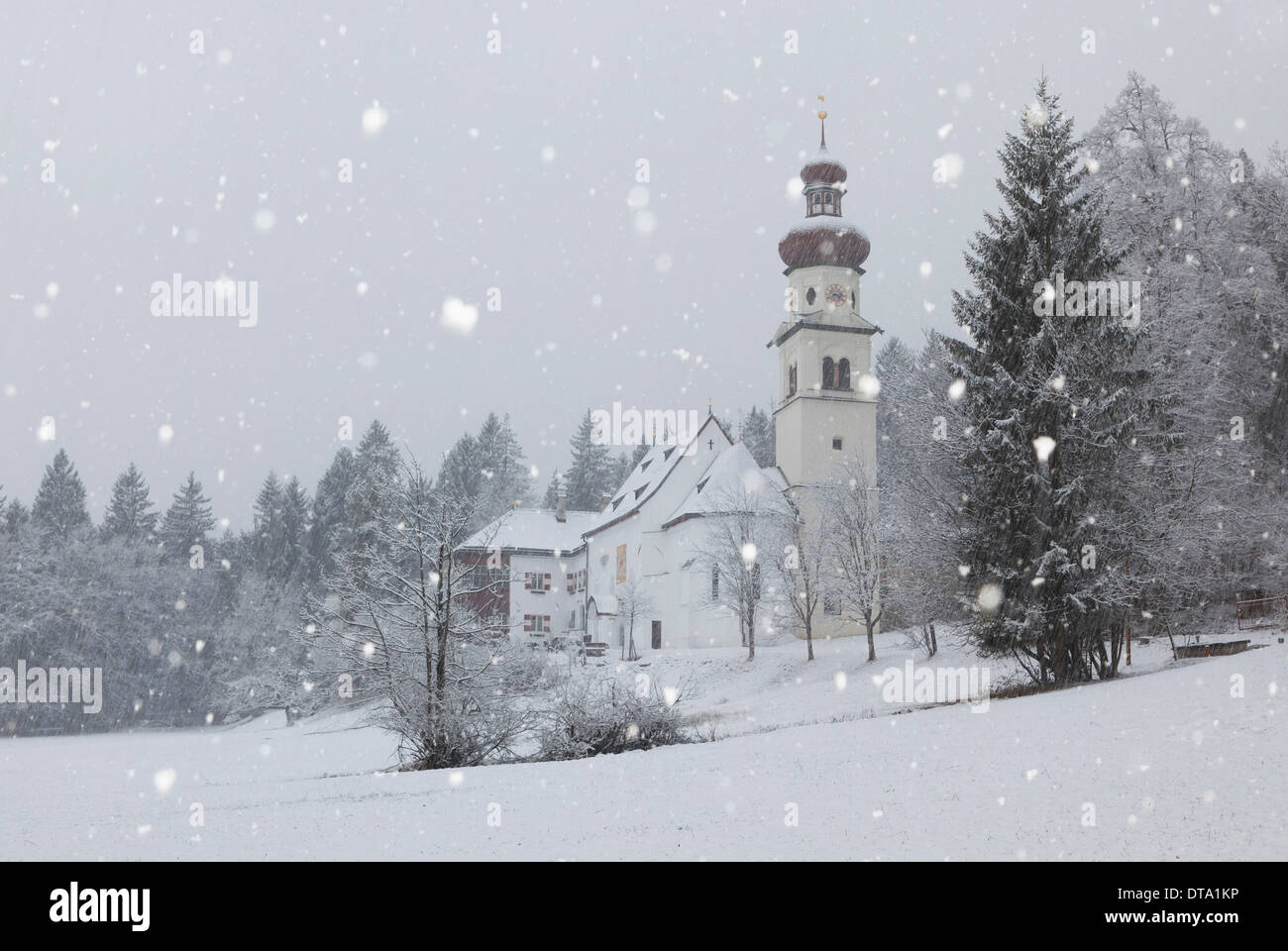 Kirche St. Martin bei Schneefall, Gnadenwald, Tirol, Österreich Stockfoto