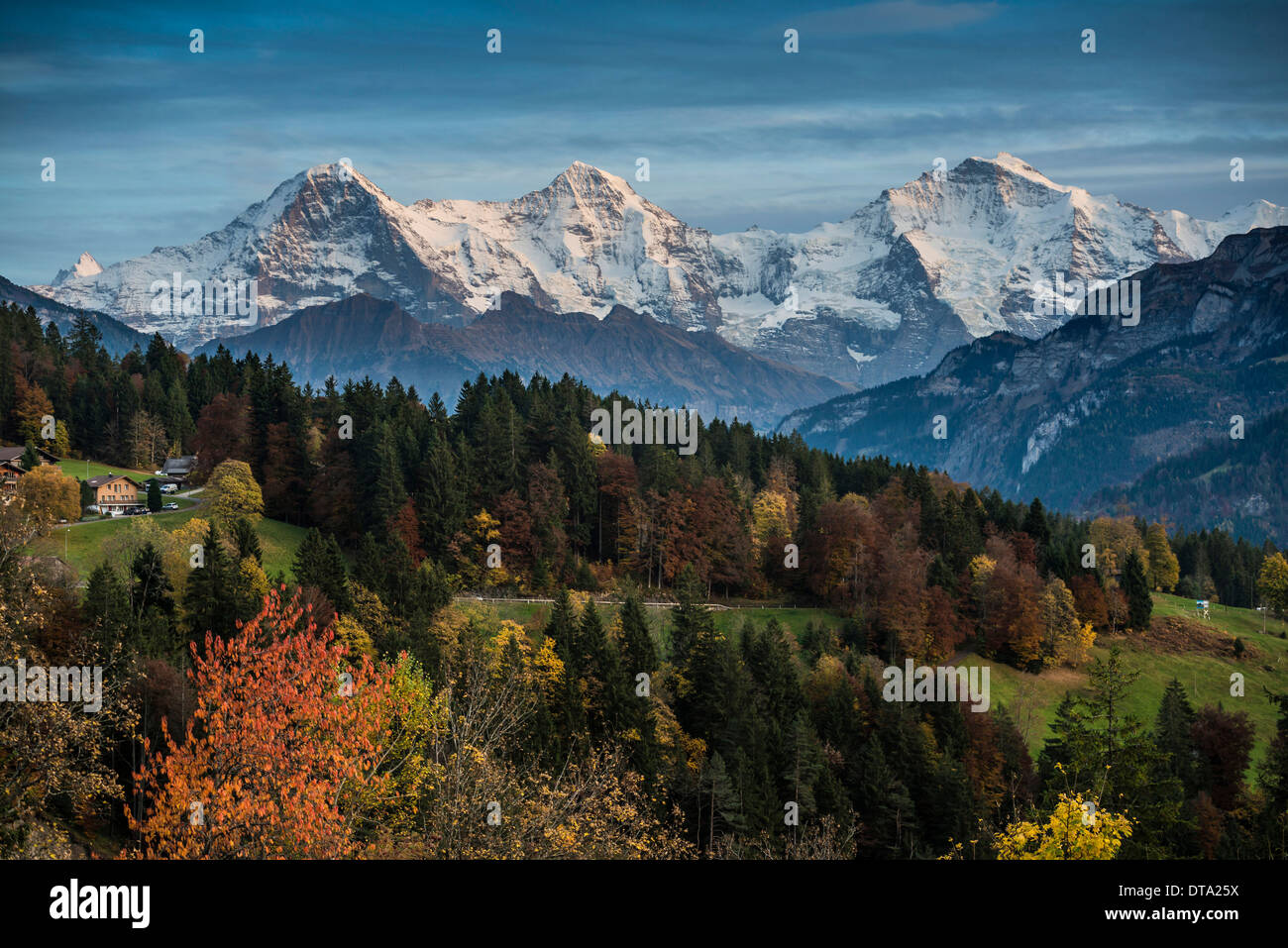 Beatenberg, Blick auf die Berge Eiger, Mönch und Jungfrau, Berner Oberland, Kanton Bern, Schweiz Stockfoto