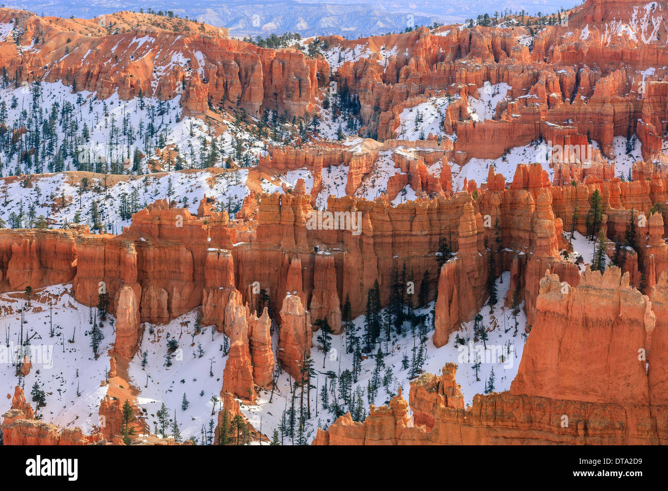 Winter im Bryce-Canyon-Nationalpark, Utah - USA Stockfoto