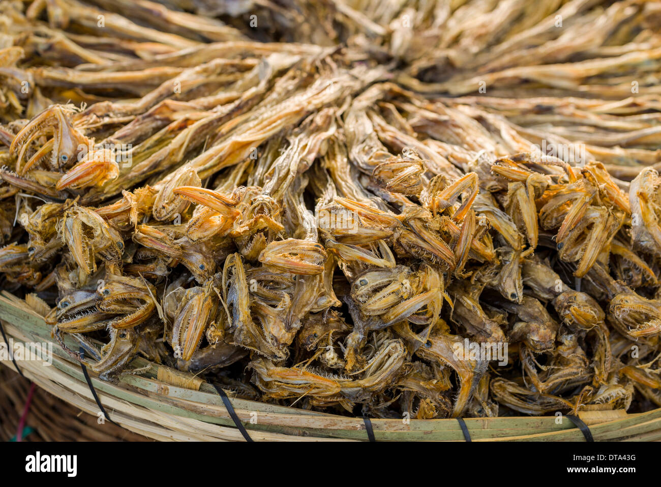 Getrockneter Fisch zum Verkauf auf dem Wochenmarkt, Nasik, Maharashtra, Indien Stockfoto