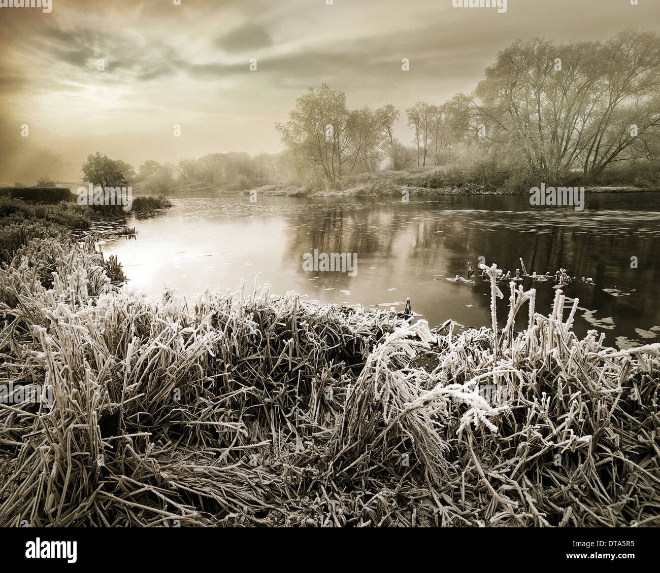 GB - Thüringen: Yuletide am Ufer des Flusses Avon Stockfoto