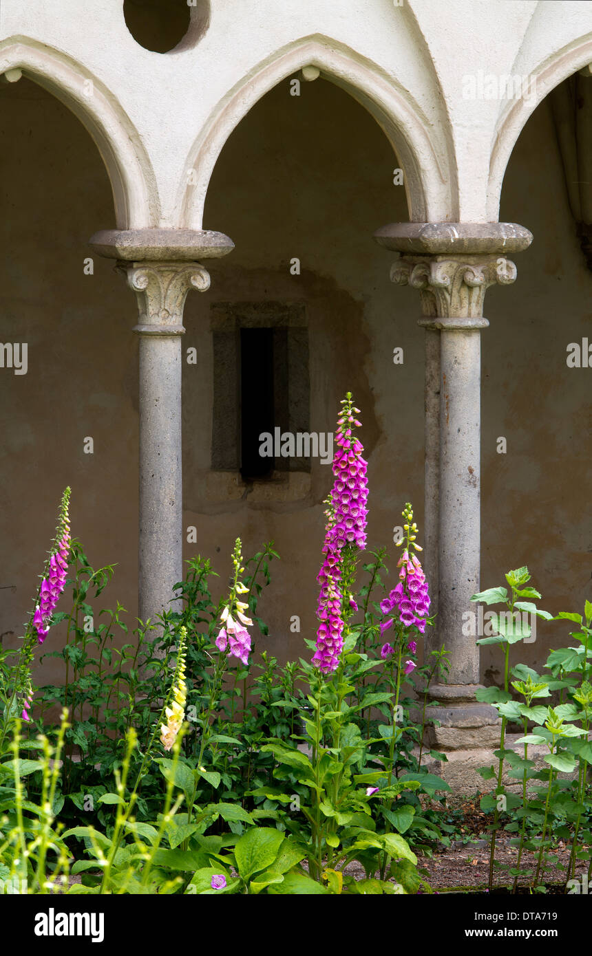 Rommersdorf Bei Gladbach, Abtei, Prämonstratenserkloster Stockfoto
