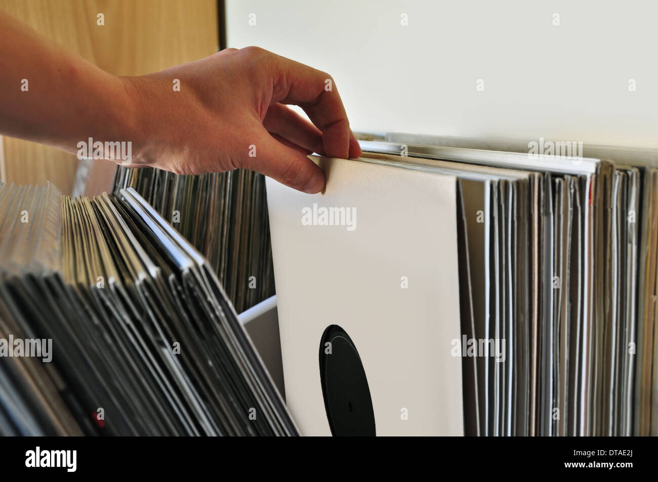 Vinyl-Platten-Sammlung durchstöbern. Hintergrundmusik. Stockfoto