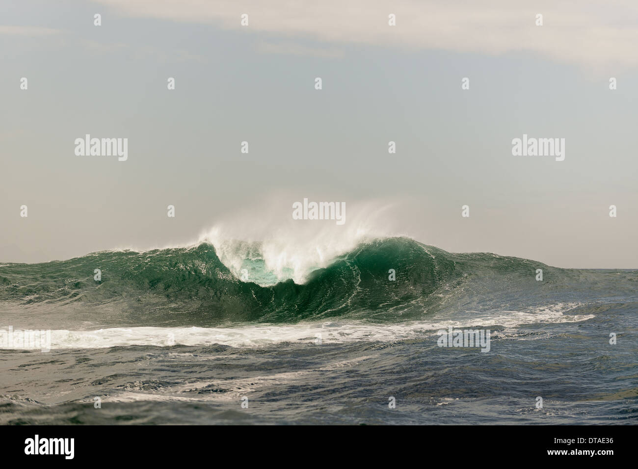 Welle auf der Oberfläche des Ozeans. Welle bricht auf einer flachen bank Stockfoto