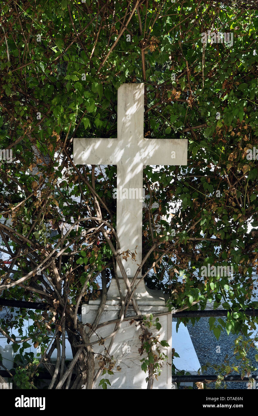 Marmor alten Grabstein und Sonnenlicht durch bewachsene Anlage Zweige kreuzen. Stockfoto