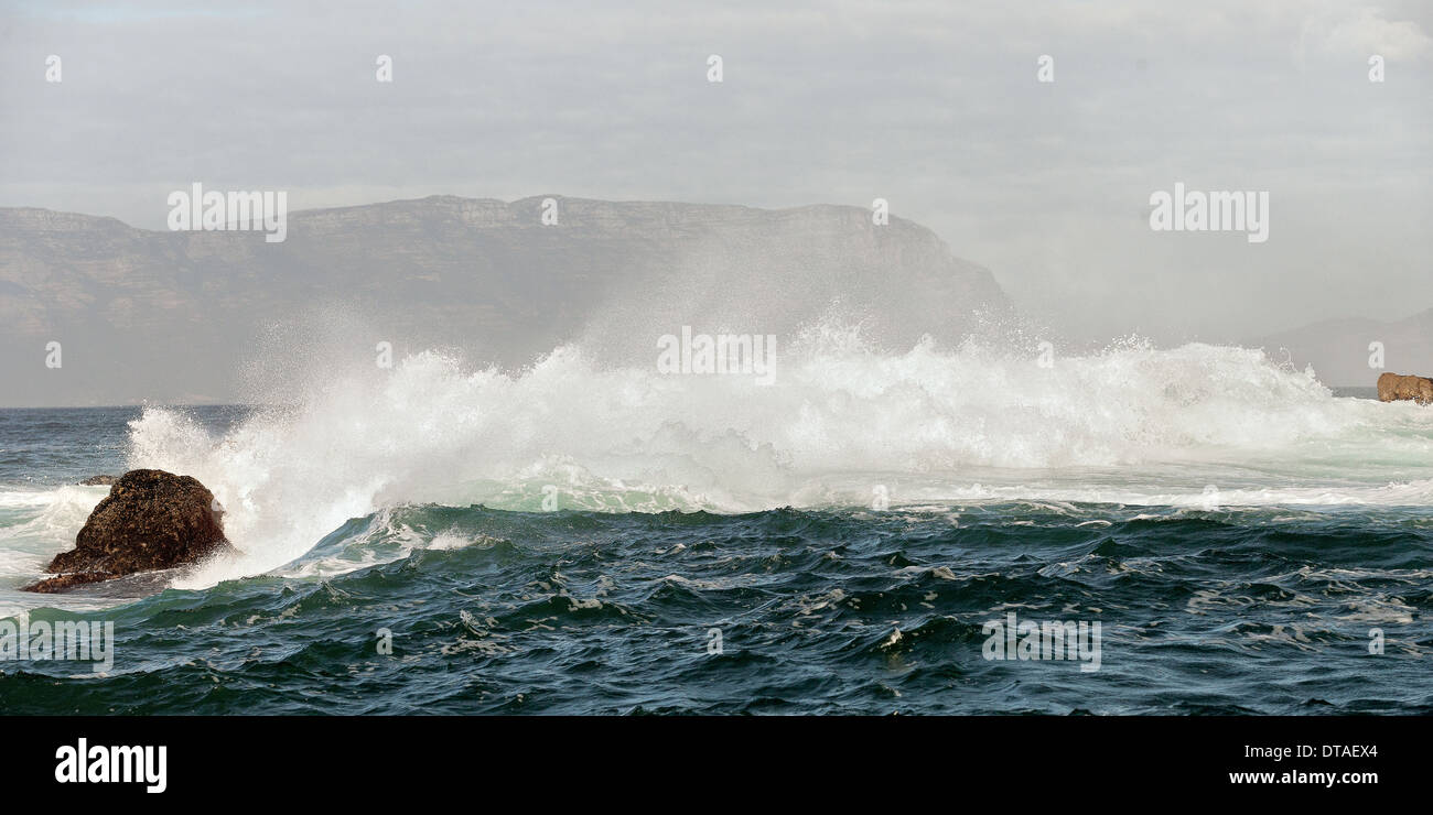 Welle auf der Oberfläche des Ozeans. Welle bricht auf einer flachen bank Stockfoto