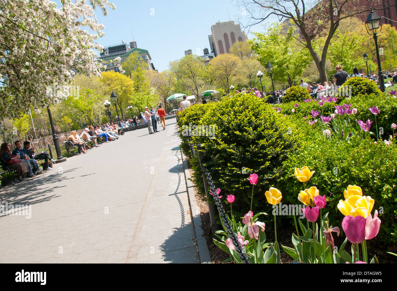 Washington Square Park in Manhattan New York City, USA Stockfoto