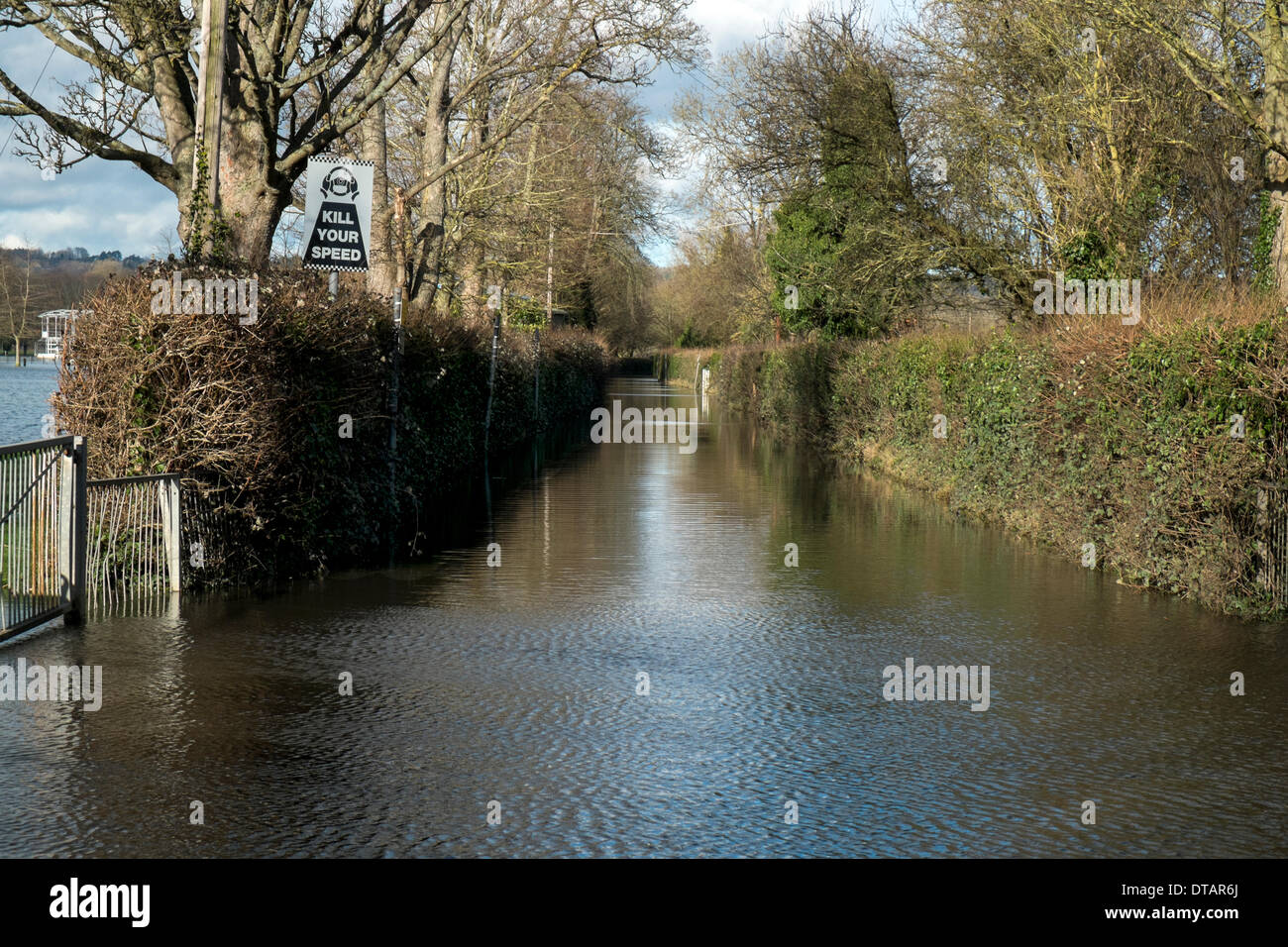 Überfluteten Landstraße Henley on Thames, Oxfordshire UK von Themse Hochwasser unpassierbar gemacht. Stockfoto