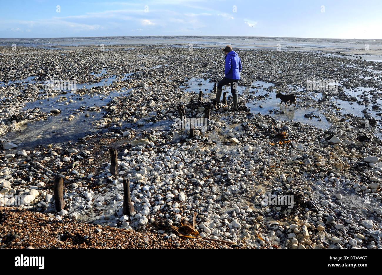 Die letzten Stürme und Fluten haben alte 2. Weltkrieg Küstenschutzes entlang der Strände bei Ferring in der Nähe von Worthing UK ausgegraben. Stockfoto