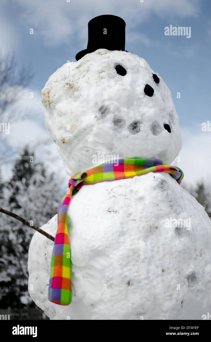 Dapper Schneemann an einem sonnigen Wintertag mit einem bunten Schal und Tophat Stockfoto