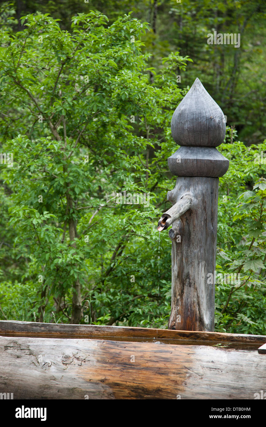 Holz-Wasser-Pumpe im Wald Stockfoto