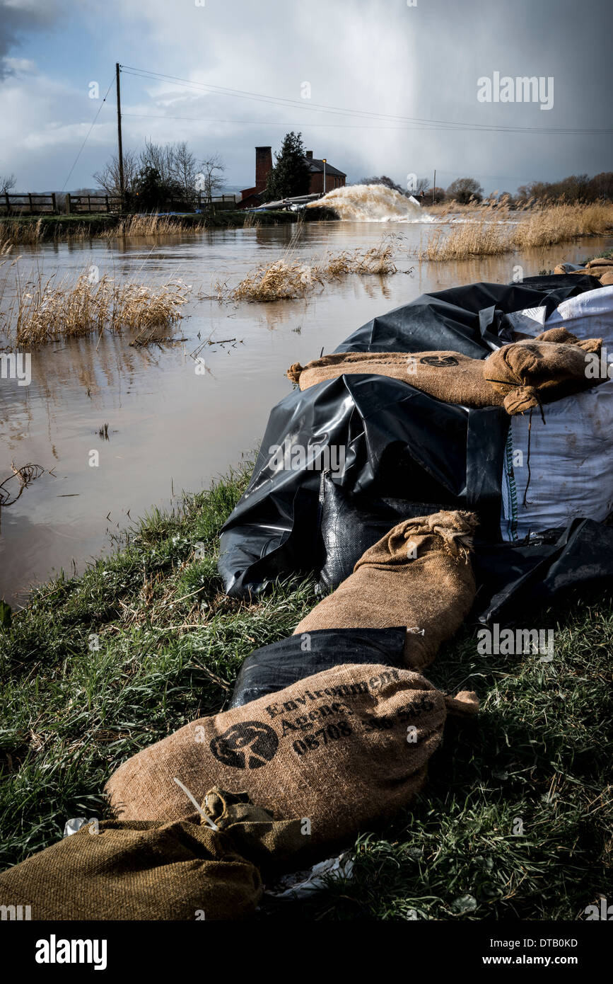 Umwelt-Agentur Sandsäcke und Hochwasserschutzanlagen, säumen das Ufer des Flusses Parrett nahe Burrowbridge Pumpstation, 2014 Stockfoto