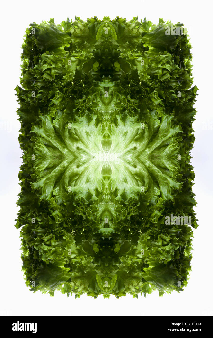 Verlässt eine digitale Zusammensetzung der gespiegelten Bilder von grünen Blattsalat Stockfoto