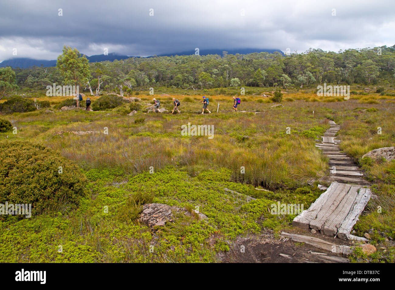 Wanderer auf dem Overland Track in der Nähe von Pelion Gap Stockfoto