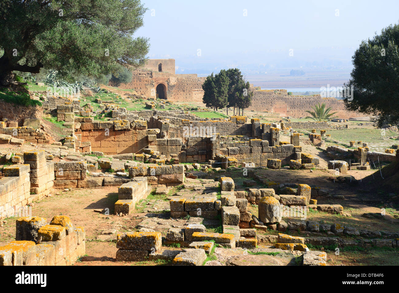 Römische Ausgrabungsstätte Chellah (Sala Colonia), Rabat, Rabat-Salé-Zemmour-Zaer Region, Königreich Marokko Stockfoto