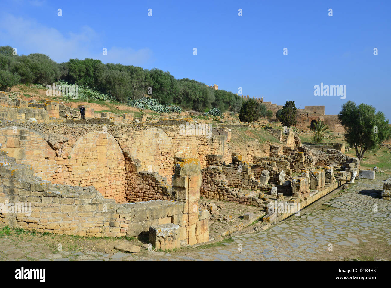 Römische Ausgrabungsstätte Chellah (Sala Colonia), Rabat, Rabat-Salé-Zemmour-Zaer Region, Königreich Marokko Stockfoto