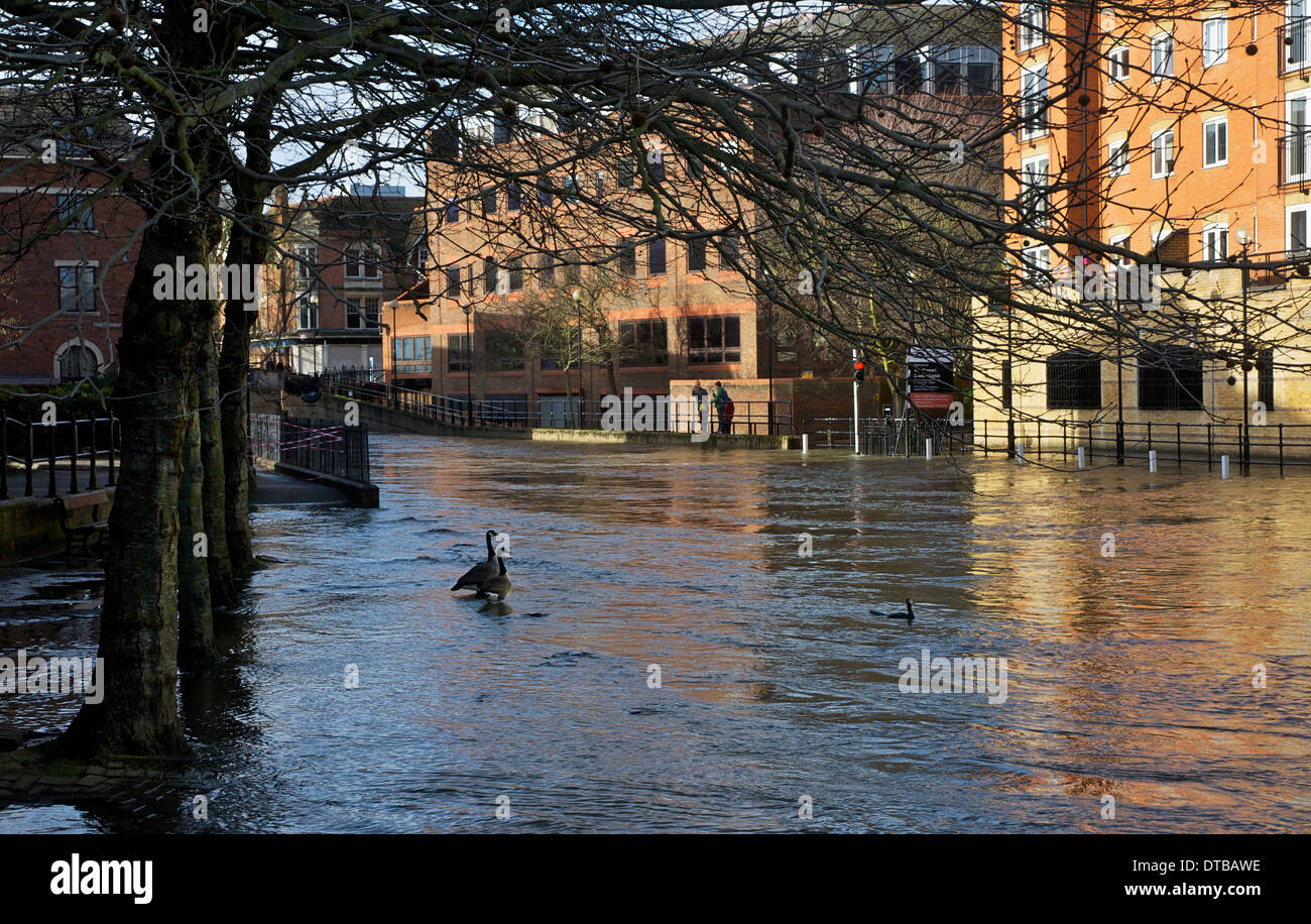 Der Kennet und Avon Kanal, Reading, Berkshire, England UK Stockfoto