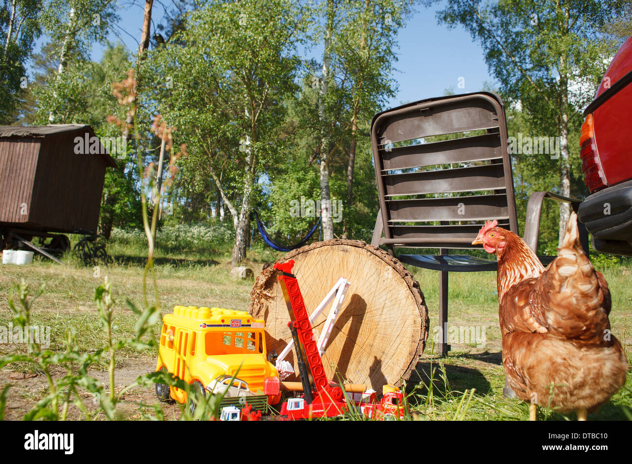 Wittstock / Dosse, Deutschland, freilaufenden Hühnern aus autark Stockfoto