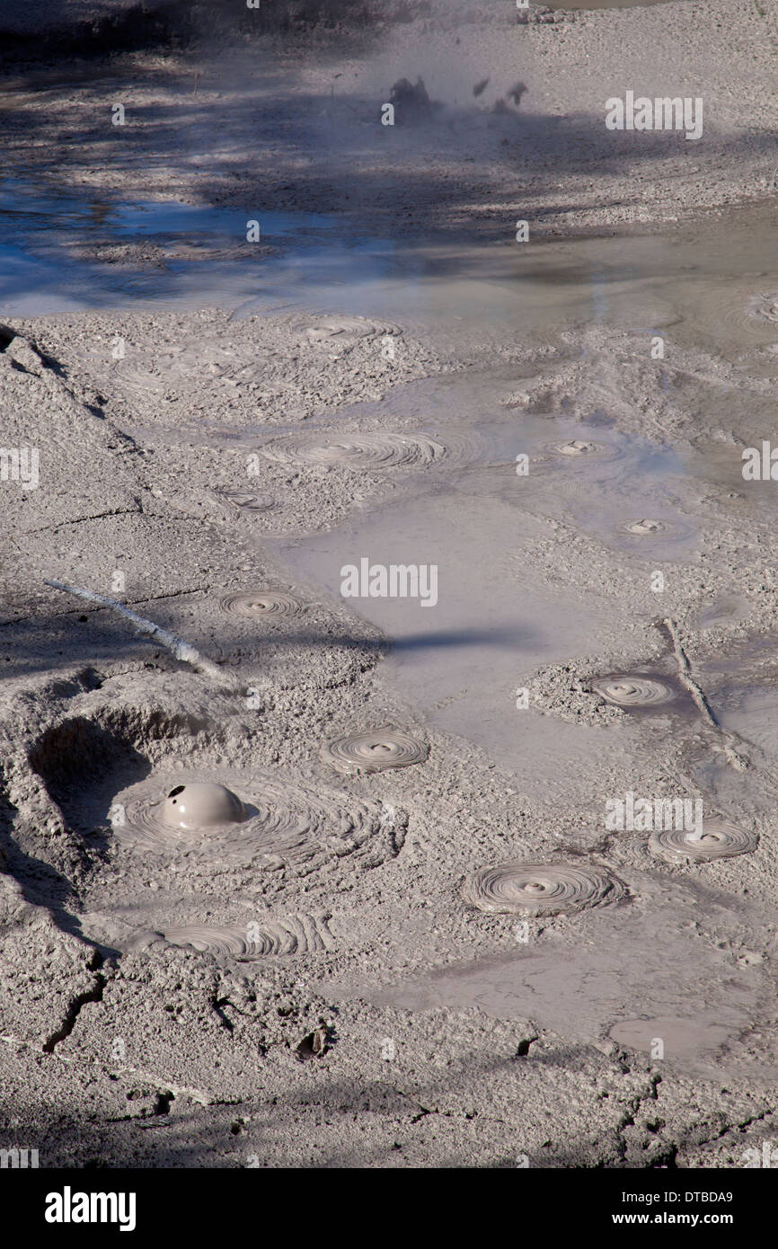 Thermische Schlamm-Pool, Wai-o-Tapu Thermal Wonderland in der Nähe von Rotorua und Taupo, Nordinsel, Neuseeland Stockfoto